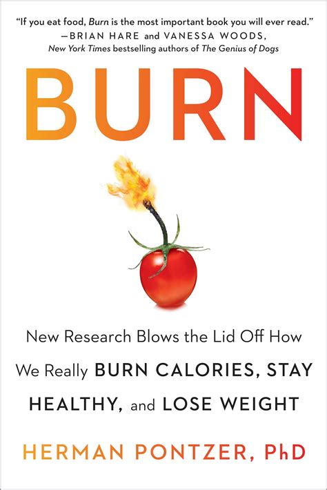 Buy BURN Book Online at Low Prices in India | BURN Reviews & Ratings ...