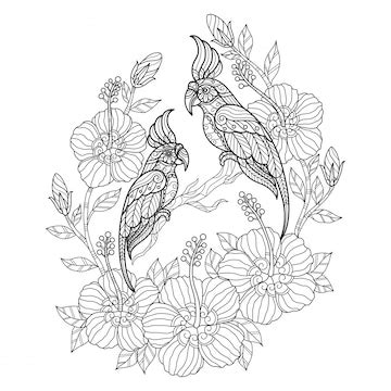 Cockatoo with flower. hand drawn sketch illustration for adult coloring ...
