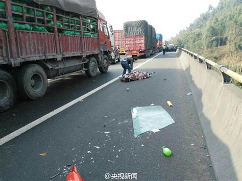 重庆绕城高速发生38车连环车祸 车头撞得粉碎_新闻频道_中国青年网