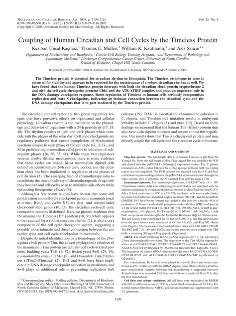 Image result for Timeless Protein