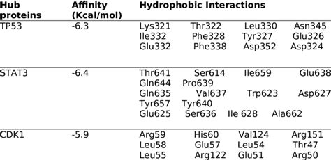 Image result for Docking Score