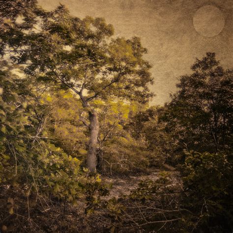 The Legends and Myths of Sweet Hollow and Mount Misery: Part One, On ...