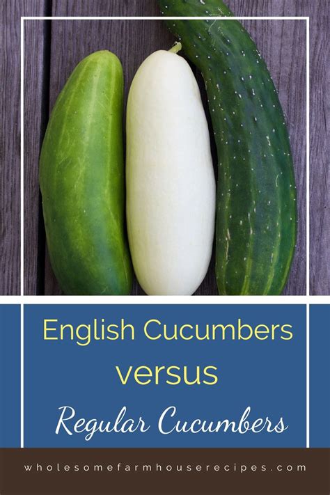 English Cucumbers versus Regular Cucumbers - Wholesome Farmhouse Recipes