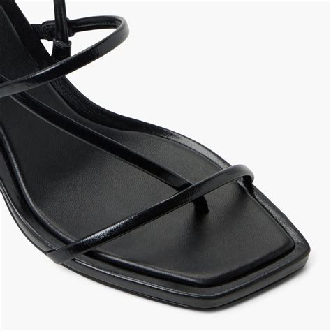 Zorra in Black - Call It Spring