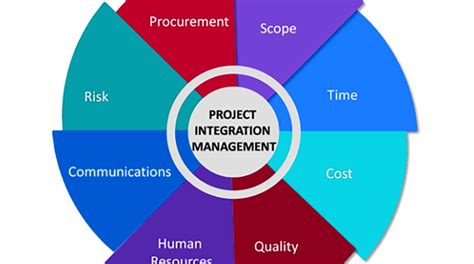 Project Integration Manager 的图像结果