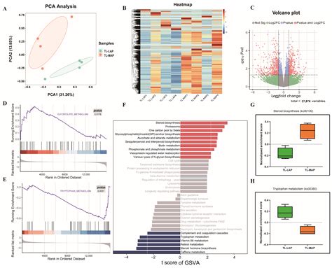 Comprehensive Genome and Transcriptome Analysis Identifies SLCO3A1 ...