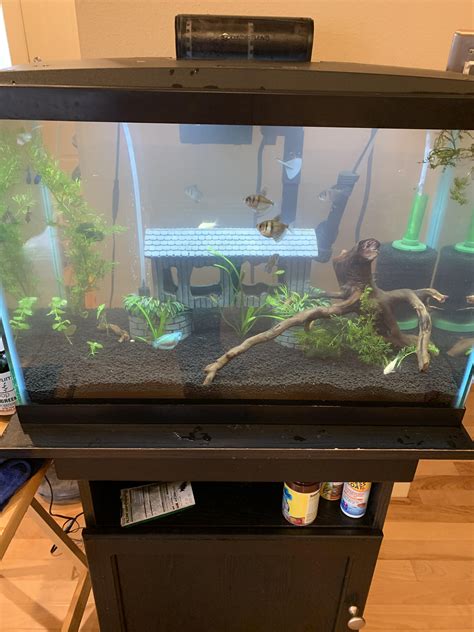 20 Gallon Tall Aquarium