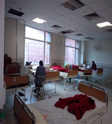 Department of Orthopaedics | GIMS