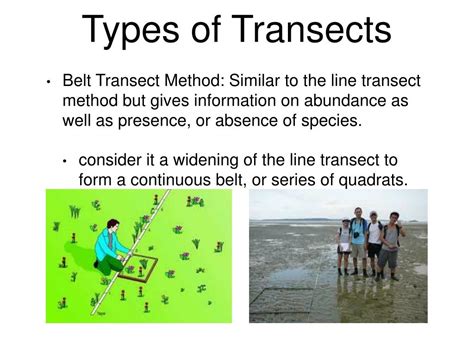 Image result for Ecological Sampling Using a Line Transect
