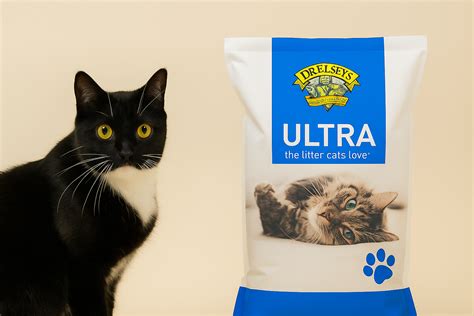 Dr. Elsey’s Cat Litter Review: Low Dust and Strong Clumping Performance