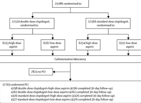 Double-dose versus standard-dose clopidogrel and high-dose versus low ...