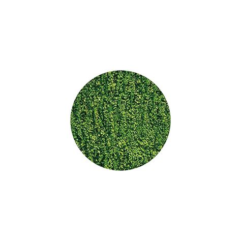 Buy Yeele 6x6ft Green Grass Wall Round Backdrop Spring Nature Green ...