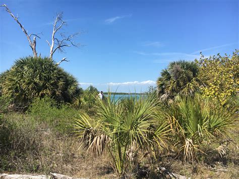 Image result for Shell Key Preserve