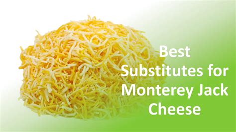 7 Recommended Substitutes For Monterey Jack Cheese