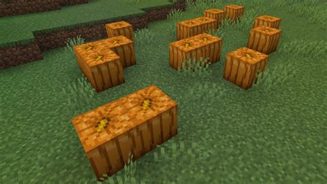 Image result for Minecraft Pumpkin Tutorial