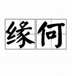 Image result for 缘何