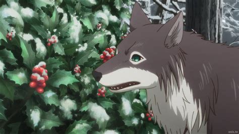 Image result for Ancient Magus Bride Chise PFP
