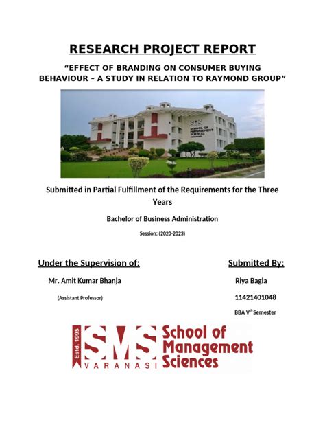 Image result for Research Project Report Example