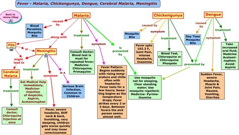 Zoom- Fever Malaria Chickengunya Dengu Meningitis.html