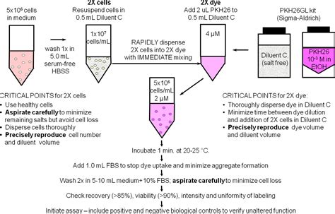 Image result for Cell Surface Protein Staining Tracking