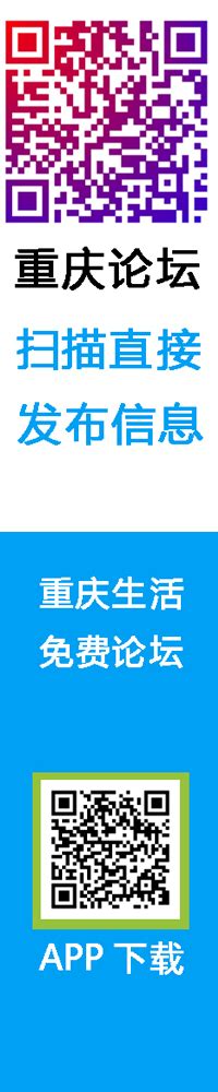 打造重庆市顶尖的专业网站制作服务_亚麟云