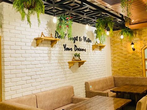 THE PLANT STORY, Jodhpur - Restaurant Reviews, Phone Number & Photos ...