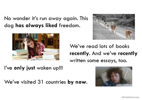 Image result for Past Perfect Web Edition Tutorial