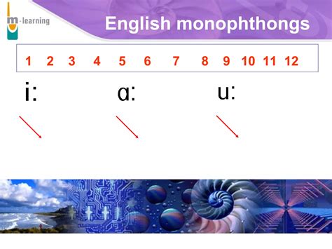 Image result for Phonetics Example