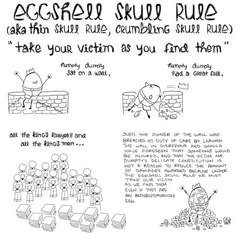 Eggshell Skull Rule – New York Bar Picture Book