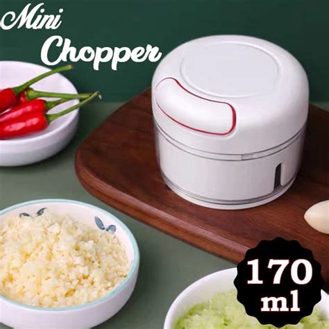 2402 Mini Garlic Chopper Mixer, Portable Cordless Grinder — DeoDap