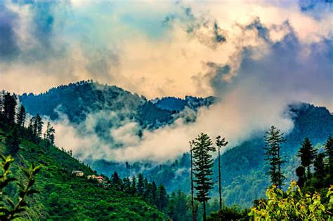 Janjehli in Himachal Pradesh to soon become an eco-tourism destination ...