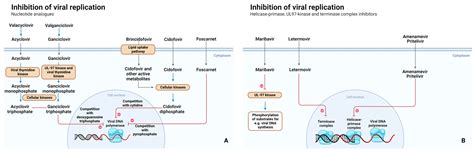 Optimizing Antiviral Dosing for HSV and CMV Treatment in Immunocompromised Patients