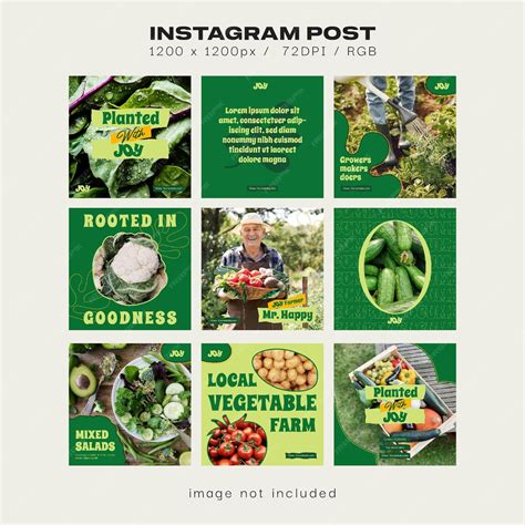 Premium Vector | Organic Farm Social Media Post Templates