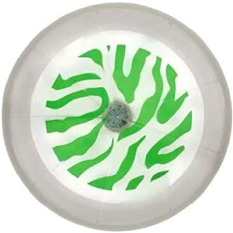 Outdoorspielzeuge - Drachen & Windspiele: Günstig online bestellen bei ...