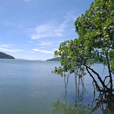 SALAKPHET MANGROVE WALKWAY (2026) All You Need to Know BEFORE You Go (w ...