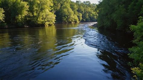 Image result for River Table Project