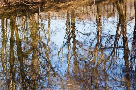 Reflection Map 的图像结果