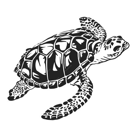 Sea Turtle Clip Art Black And White