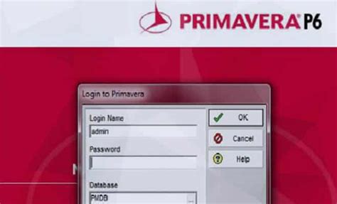 Image result for Learn P6 Software