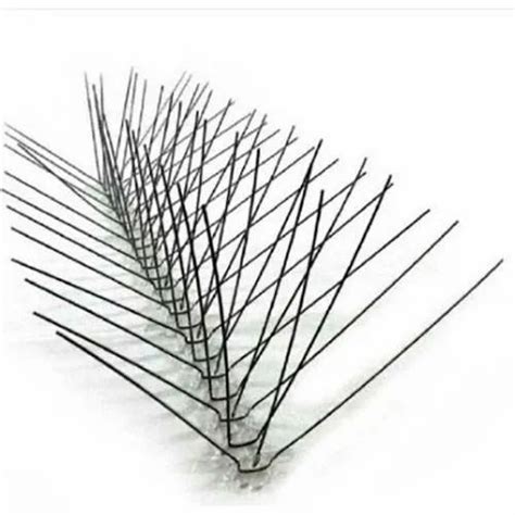 Pigeon Control India - Manufacturer of Bird Protection Net & Pest ...