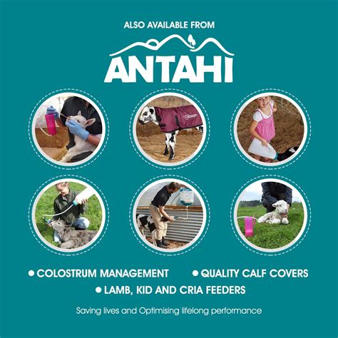 Buy TRUSTI Tuber Feeding Tube for Lamb, Kid Goat and Cria by Antahi ...