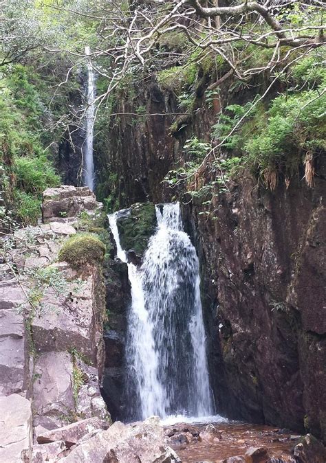 SCALE FORCE (2025) All You Need to Know BEFORE You Go (with Photos ...