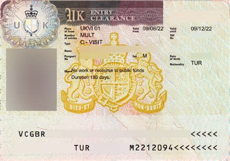 UK Visa Application Process 的图像结果
