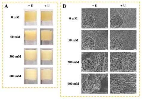 Effect of Ionic Strength on Heat-Induced Gelation Behavior of Soy ...