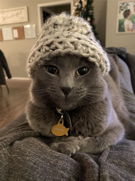 Crocheted a beanie for my friends cat with tiny beans. : r/cats