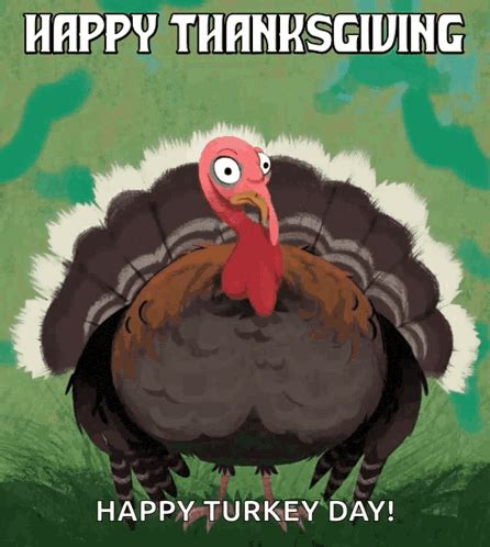 Thanksgiving Funny GIFs | GIFDB.com
