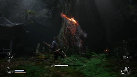 Black Myth: Wukong Guide : Forest of Wolves Walkthrough