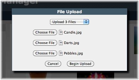 File How to Select Multi-Item 的图像结果