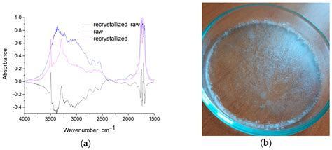 Thermal Behavior and Infrared Absorbance Bands of Citric Acid