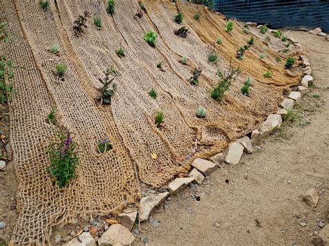 Soil Erosion Causes